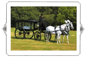 hearse